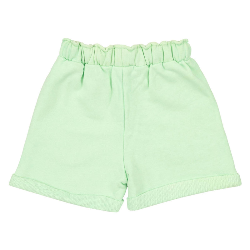 close-up flat lay image of the back of premium mint green shorts by Natural Rascals
